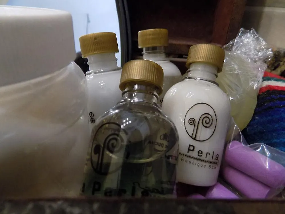 珍珠酒店精品住宿加早餐旅馆 瓜达拉哈拉